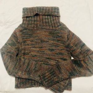 Cropped Turtleneck Sweater